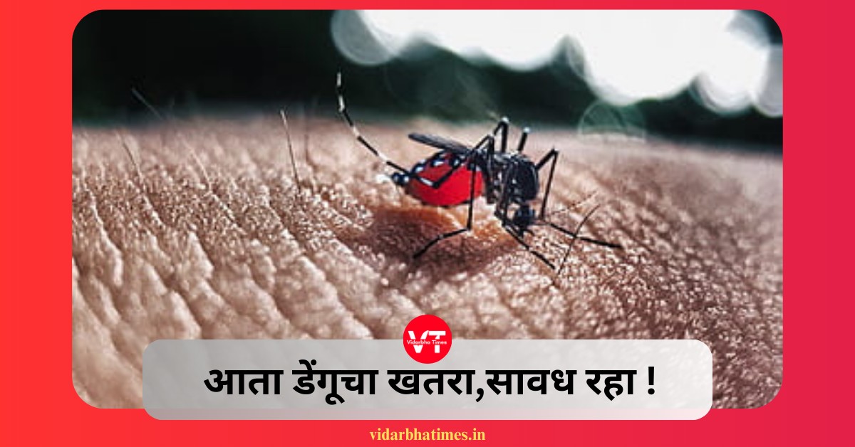 Dengue  Yavatmal: आता डेंगूचा खतरा,सावध रहा !