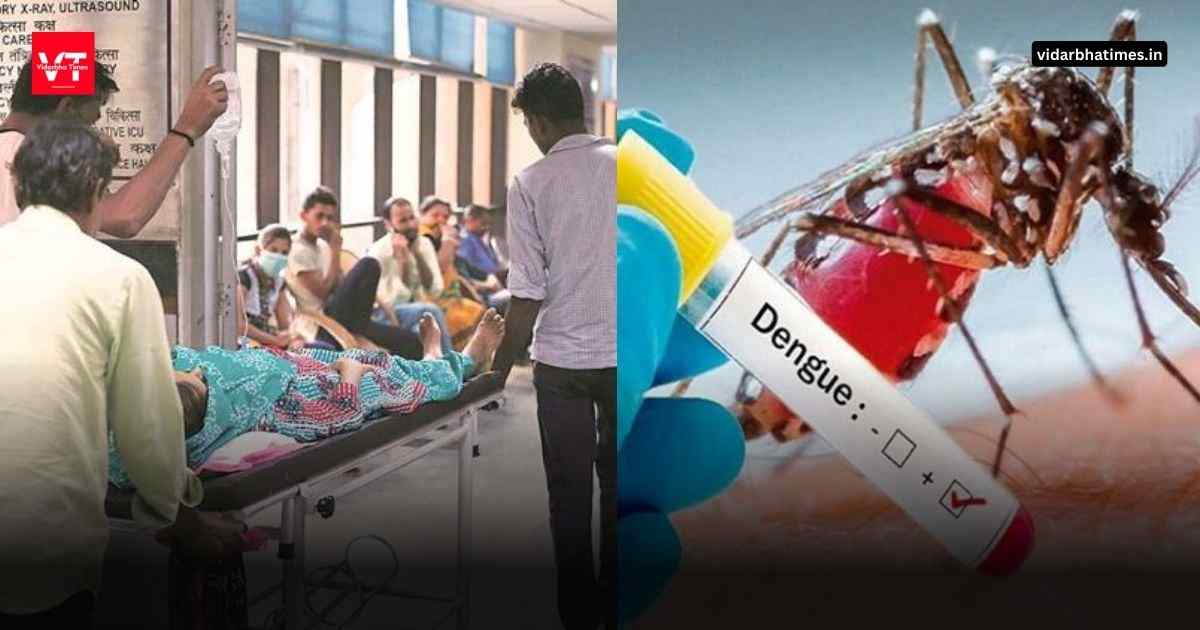 Dengue Maharashtra: आणखी दोन विद्यार्थिनींचा डेंग्यूसदृश आजाराने मृत्यू.
