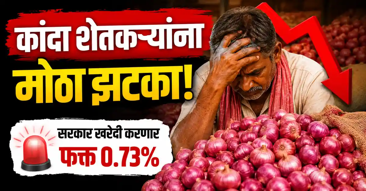 Government Onion Procurement